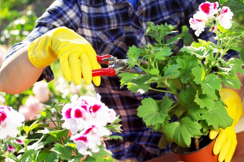 Secure Gardeners Camberwell payment area with SSL protection