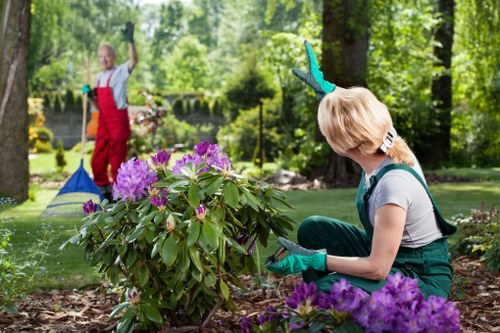 Gardening services in Camberwell for a neat residential front garden