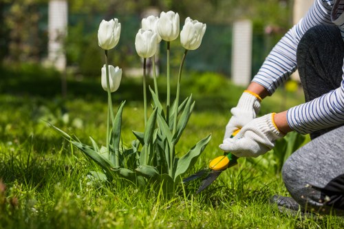 Camberwell gardeners improving a residential garden