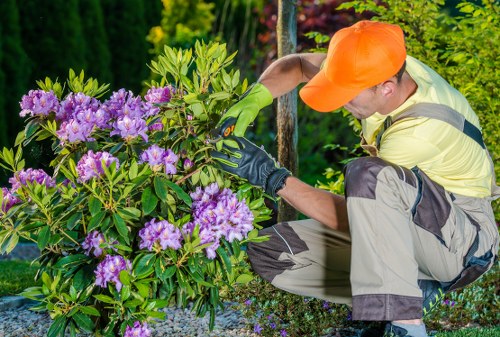 Gardener assessing a Camberwell garden for safety before starting work