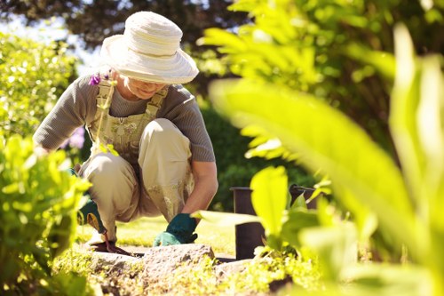 Healthy lawn care in Camberwell with neatly trimmed grass
