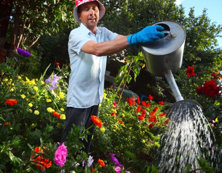 Local lawn mowing service maintaining healthy grass in Camberwell