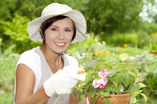 Soil aeration and lawn renovation for Camberwell lawns