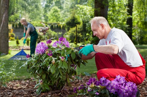 Seasonal lawn care in Camberwell with spring lawn treatment
