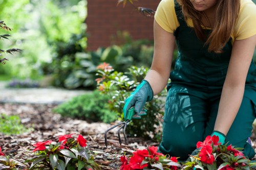 Garden hazard assessment and site awareness before maintenance