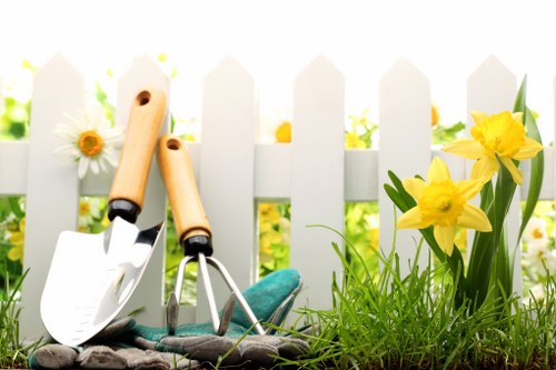 Professional garden maintenance for a tidy Camberwell property