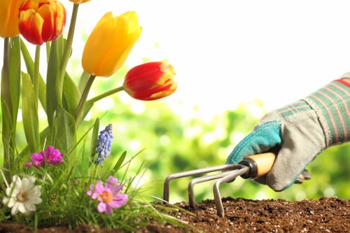 Professional gardeners in Camberwell working with insurance and safety procedures