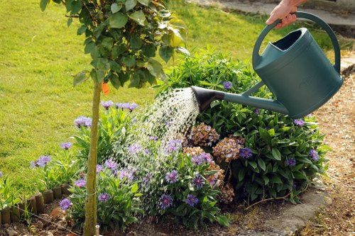 Professional patio cleaning results on a Camberwell property