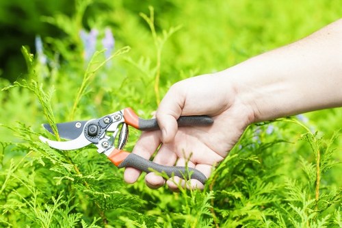Worker following safe practices during gardening tasks