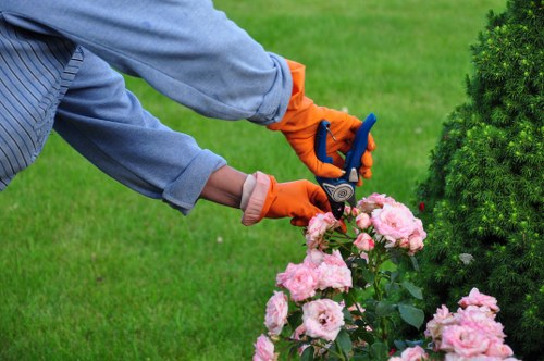 Local gardening services in Camberwell improving a backyard landscape