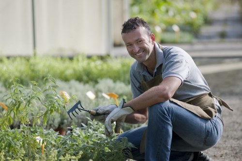 Restored garden features maintained by a Camberwell gardener