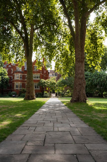A bright garden scene featuring a well-maintained lawn with neatly trimmed grass and vibrant flower beds arranged in front of a row of traditional red-brick houses. The flower beds display a variety o