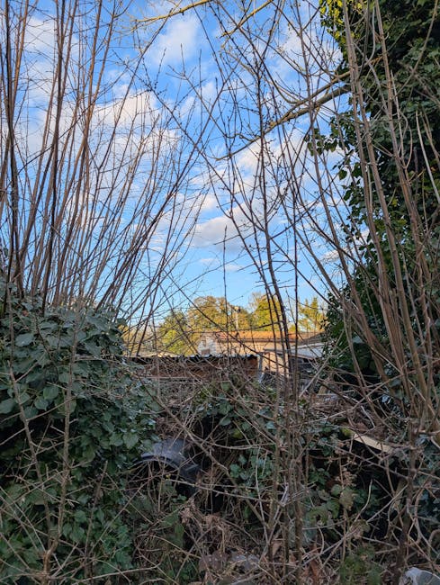 An overgrown garden area viewed through a tangle of bare, leafless branches and dense green foliage along the lower edge. The ground appears to be filled with dry leaves and possibly gardening debris.